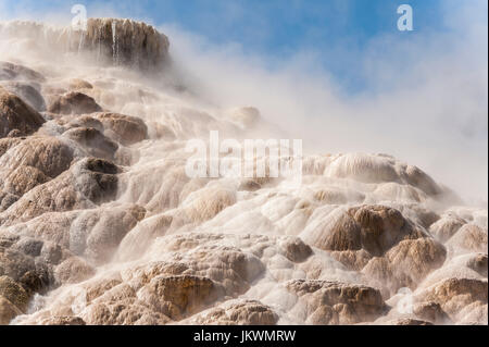 Travertin geothermische Gebiet am oberen Terrasse Drive in Mammoth Hot Springs im Yellowstone-Nationalpark. Stockfoto