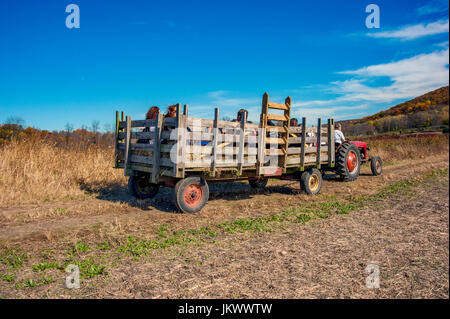 Herbst Hayride Stockfoto