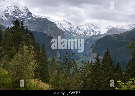 Das spektakuläre Lauterbrunnental von der Alp oberhalb Wengen, mit dem Breithorn in der Ferne: Berner Oberland, Schweiz Stockfoto