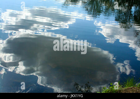 Sicht auf den Himmel reflektiert und in meinem alten Teich in Columbus Ohio gewellt. Stockfoto