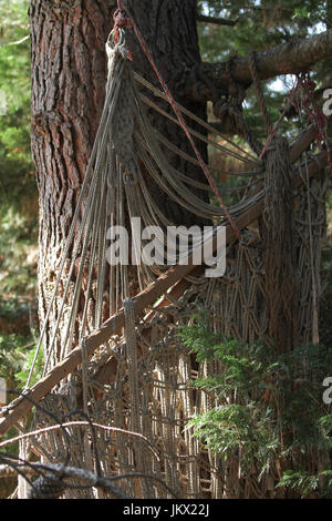 Gefallenen Hängematte im Holz Stockfoto