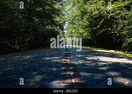 Ein kubischer Stein Straße im Wald Stockfoto