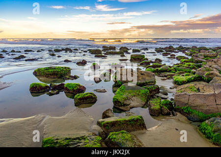 Bemoosten Steinen und Wellen zwischen den Gewässern des Cal Beach in Torres-Stadt, Rio Grande do Sul Stockfoto