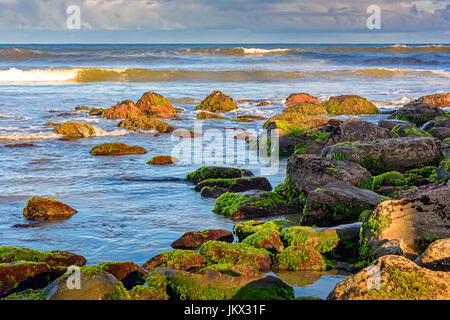 Bemoosten Steinen und Wellen zwischen den Gewässern des Cal Beach in Torres-Stadt, Rio Grande do Sul Stockfoto