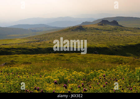 Vitosha Nationalpark während des Tages, Bulgarien Stockfoto