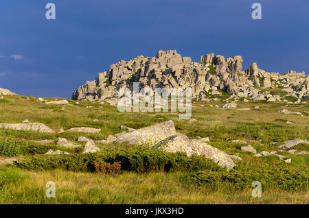Felsen und grünen Rasen am Vitosha Berg, Bulgarien Stockfoto