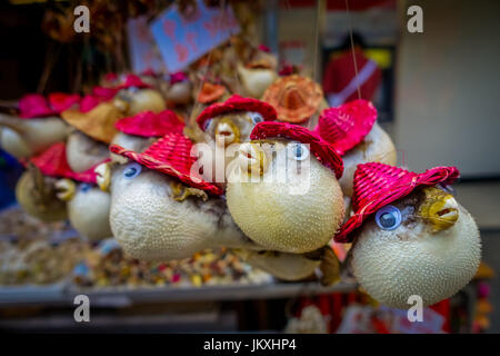 Getrocknete Fugu gemacht von der lokalen Bevölkerung, auf einem Markt in Hong kong Stockfoto