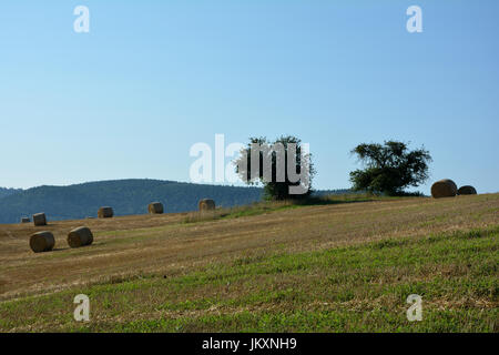 Strohballen liegen in einer Landschaft Stockfoto