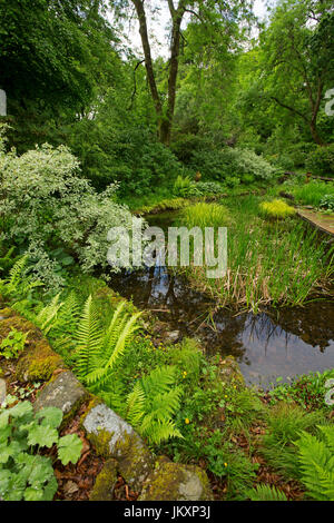 Spektakuläre Gemeinschafts-Garten mit Wasserspiel und Bäume spiegelt sich im Wasser des ruhigen Pool - in Schottland Stockfoto