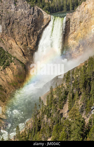 300 Fuß Lower Falls im Grand Canyon des Yellowstone im Yellowstone-Nationalpark, Wyoming Stockfoto