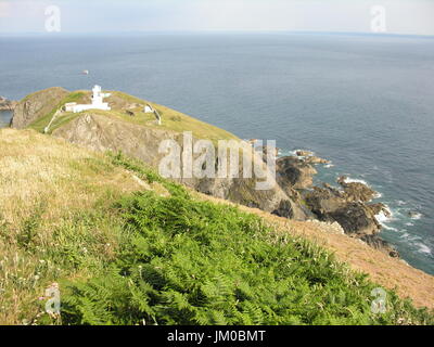 Lundy Island ist berühmt für die Tierwelt und atemberaubende Landschaft in den Bristolkanal. Lundy ist dem altnordischen für Puffin. Jetzt laufen Sie vom Landmark Trust. Stockfoto