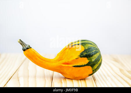 Ein dekorativer Kürbis (Crookneck Squash) auf Holz liegend mit Hintergrund für einen text Stockfoto