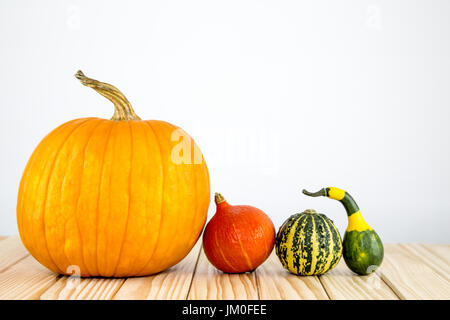 Viele schöne verschiedene Kürbisse liegen auf Holz Stockfoto