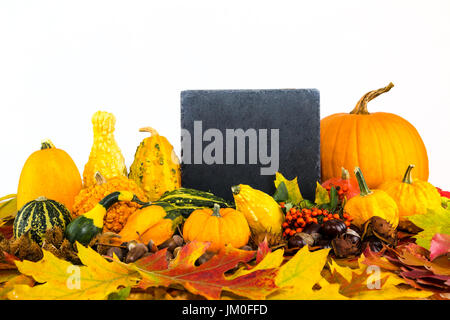 Verschiedene Kürbisse und Laub vor einer Tafel, für einen text Stockfoto