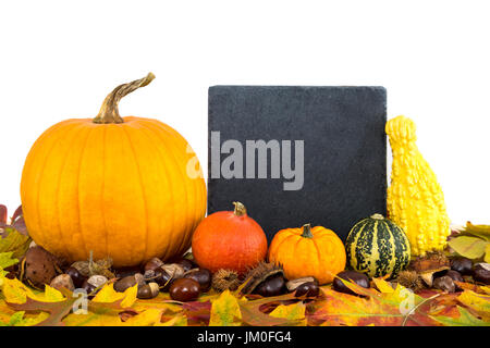 Verschiedene Kürbisse und Laub vor einer Tafel, für einen text Stockfoto