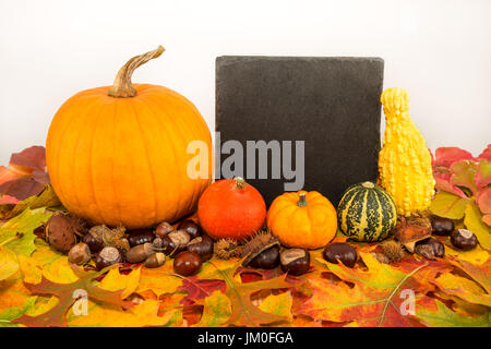 Verschiedene Kürbisse und Laub vor einer Tafel, für einen text Stockfoto