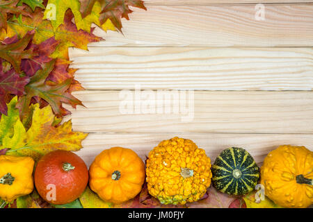 Bunte herbstliche Laub und Kürbisse liegen auf Holzbrettern Stockfoto