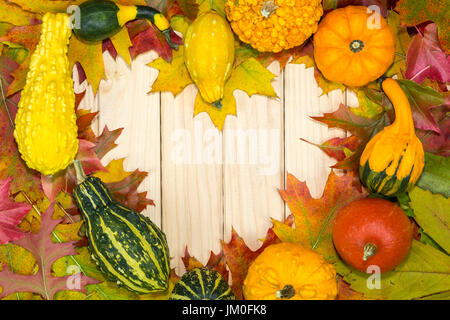 Bunte herbstliche Laub und Kürbisse liegen in Herzform auf Holzbrettern Stockfoto