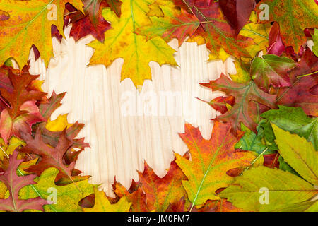 Bunte herbstliche Blätter liegen in Herzform auf Holzbrettern Stockfoto