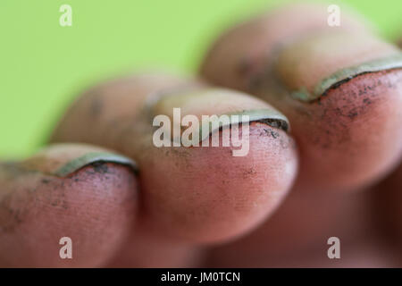 Gartenarbeit Hände mit Boden Dreck unter den Fingernägeln Stockfoto