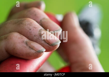 Gartenarbeit Hände mit Boden Dreck unter den Fingernägeln Stockfoto