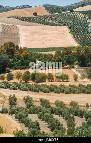 Wunderbar entspannende Landschaften in Andalusien, Spanien Stockfoto