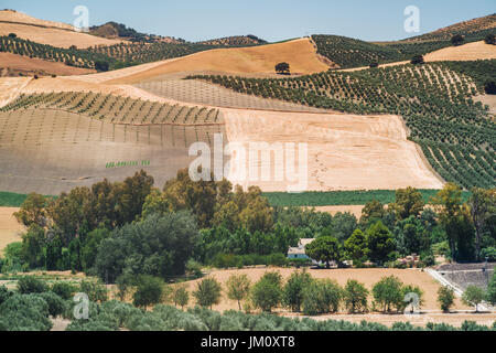 Wunderbar entspannende Landschaften in Andalusien, Spanien Stockfoto