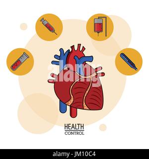 Bunte Poster der Gesundheitskontrolle in weißem Hintergrund mit menschlichen Herzen und Symbole an der Spitze Stock Vektor