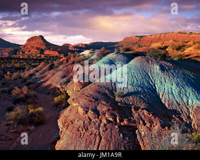 Einen Abend Überblick der Paria Canyon-Vermilion Cliffs National Park, Arizona, USA Stockfoto