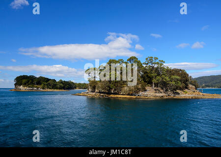 Insel der Toten auf historische Stätte Port Arthur (ehemaliger Sträfling Siedlung) auf der Tasman-Halbinsel in Tasmanien, Australien Stockfoto