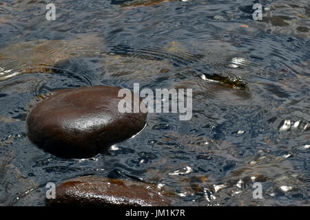 Steinen im Wasser. Eine schöne nasse polierter Stein oberhalb der Wasseroberfläche. Stockfoto