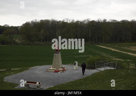 38. (Walisisch) Division Memorial, Mametz Holz, Somme, Frankreich Stockfoto