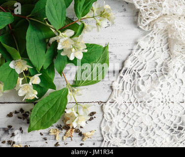 Verstreuten getrocknete grüne Teeblätter mit frischen Jasminblüten und Deckchens auf einem weißen Holztisch. Ansicht von oben Stockfoto