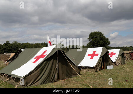 Hop Farm, Kent, UK. 25. Juli 2017. Krieg und Frieden Revival 2017 Credit: Theodore Liasi/Alamy Live-Nachrichten Stockfoto