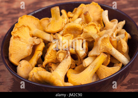 Frische rohe Champignons Pfifferlinge In Schüssel auf alten hölzernen bemalten Hintergrund. Ansicht von oben. Selectiv Fokus. Stockfoto