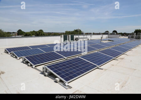 PV-Solar-Panels auf dem Flachdach einer neuen Grundschule in Essex, Großbritannien Stockfoto