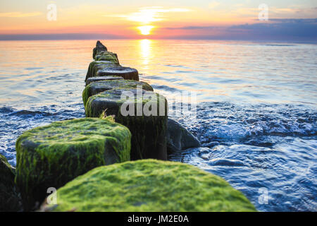 Holz- Deiche in Küsten Sonnenuntergang Sporn. buhnen und Meerwasser. Stockfoto