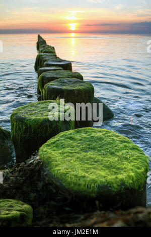 Holz- Deiche in Küsten Sonnenuntergang Sporn. buhnen und Meerwasser. Stockfoto