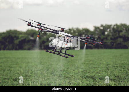 Landwirtschaft-Drohne fliegen gespritzte Dünger auf den Reisfeldern. Stockfoto