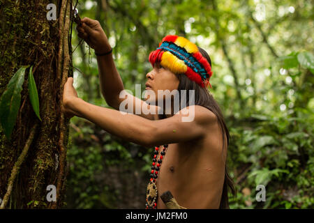 Ein einsamer Entdecker hat einem amazonischen Schamanen Bestreben, den Lehrling zu finden, der über die Jahrtausende Tradition überliefert ihm durch h stattfinden wird dokumentiert Stockfoto