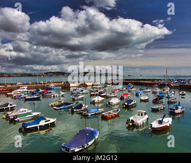 De - Devon: Hafen von Paignton, Torbay im Hintergrund Stockfoto