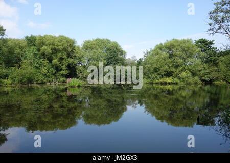 Spaziergänge in Warwickshire Stockfoto