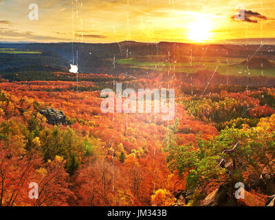 Film-Korn-Effekt. Frische Farben des herbstlichen Waldes.  Blick über Birken und Kiefern Wald, tiefes Tal. Herbstliche Landschaft Stockfoto