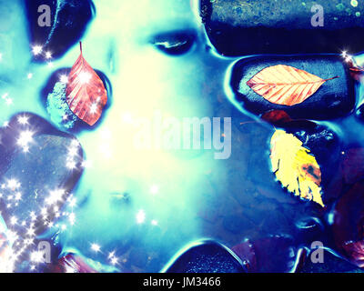 Film-Korn-Effekt. Gefallenen Buche Blätter und Steinen im Wasser des Gebirgsflusses. Farben des Herbstes. Symbol der Herbstsaison.  Orange verfaulte Blätter Stockfoto