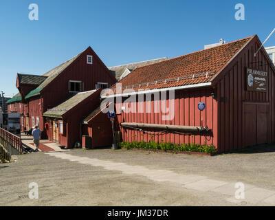 Polar Museum Tromsø Universitätsmuseum mit wissenschaftlichen kulturelle & archäologische Exponate im Zusammenhang mit Bereich Tromsø, Norwegen Stockfoto