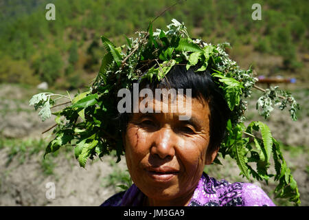 Pflanzen und Blätter schützen Frauenkopf vor Sonne beim Jäten Beanfield, Punakha Tal, Bhutan Stockfoto