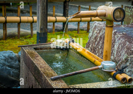 KYOTO, JAPAN - 5. Juli 2017: Wunderschöne kleine Teich in Tenryu-Ji-Tempel in Kyoto Stockfoto