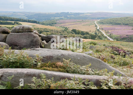 Derbyshire, Großbritannien - 23 Aug 2015: eine felsige grüne Landschaft gibt Weg für Rosa heathers im Tal am 24. August in Hathersage Moor, Peak District Stockfoto