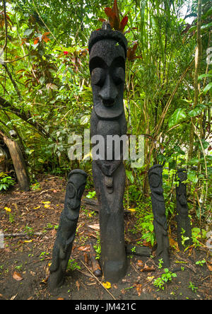 Baum-Farn Grade Figuren in den Dschungel, Insel Ambrym, Olal, Vanuatu Stockfoto