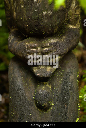 Farn Baum Deluxe Figur in den Dschungel, Insel Ambrym, Olal, Vanuatu Stockfoto